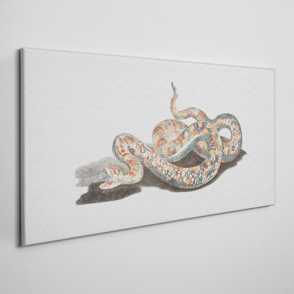 Tableau toile imprimée Motif serpent avec des détails colorés