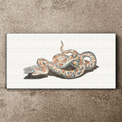 Tableau toile imprimée Motif serpent avec des détails colorés