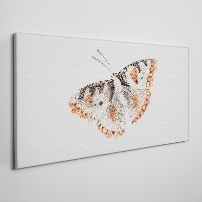 Tableau imprimé sur toile Papillon sur fond blanc