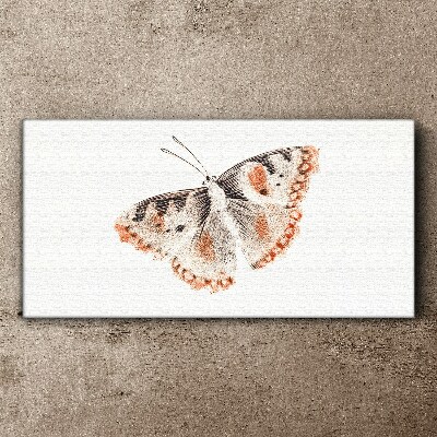 Tableau imprimé sur toile Papillon sur fond blanc