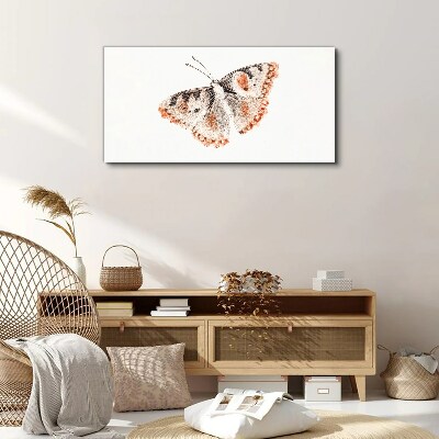 Tableau imprimé sur toile Papillon sur fond blanc