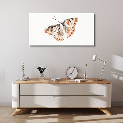 Tableau imprimé sur toile Papillon sur fond blanc