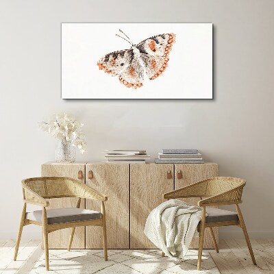 Tableau imprimé sur toile Papillon sur fond blanc