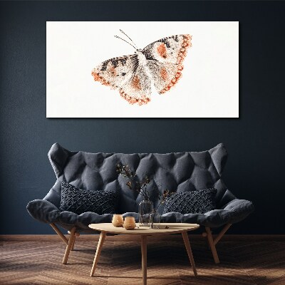 Tableau imprimé sur toile Papillon sur fond blanc