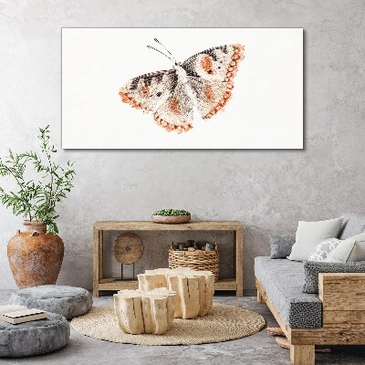 Tableau imprimé sur toile Papillon sur fond blanc