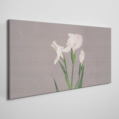 Tableau sur toile Fleurs sur fond gris
