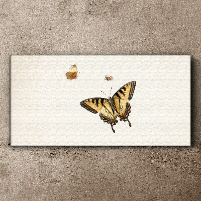 Tableau sur toile Papillons en délicate harmonie