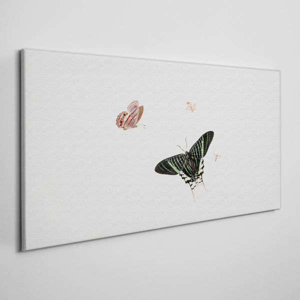 Tableau imprimé sur toile Des papillons dans une danse délicate