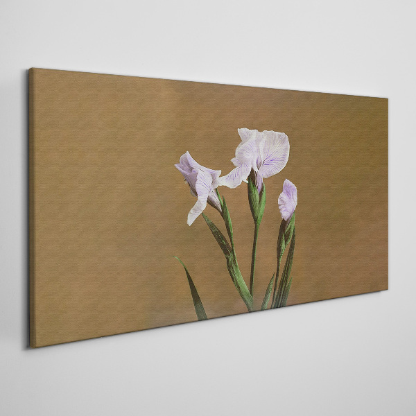 Tableau toile imprimée Fleurs d'iris sur fond marron