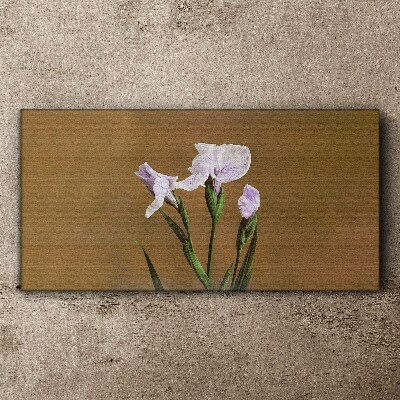 Tableau toile imprimée Fleurs d'iris sur fond marron