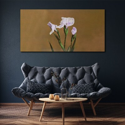 Tableau toile imprimée Fleurs d'iris sur fond marron