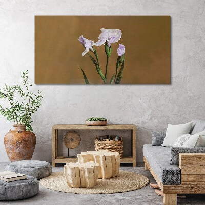 Tableau toile imprimée Fleurs d'iris sur fond marron