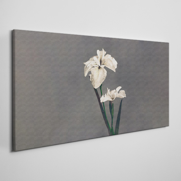 Tableau sur toile Iris blancs sur fond gris