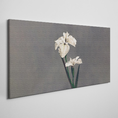 Tableau sur toile Iris blancs sur fond gris