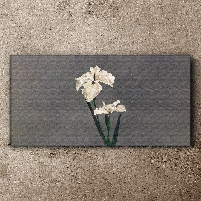 Tableau sur toile Iris blancs sur fond gris