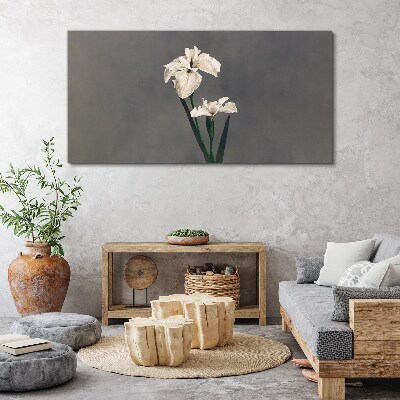 Tableau sur toile Iris blancs sur fond gris