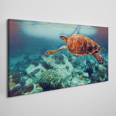 Tableau sur toile « Tortue dans des eaux tranquilles »
