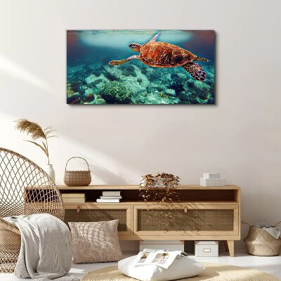 Tableau sur toile « Tortue dans des eaux tranquilles »