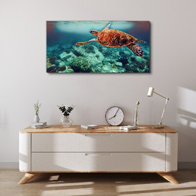 Tableau sur toile « Tortue dans des eaux tranquilles »