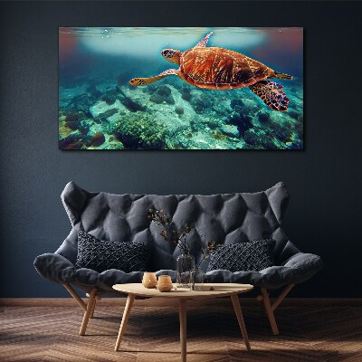 Tableau sur toile « Tortue dans des eaux tranquilles »