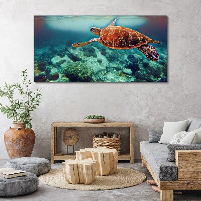Tableau sur toile « Tortue dans des eaux tranquilles »