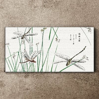 Tableau sur toile Libellules élancées dans un environnement verdoyant