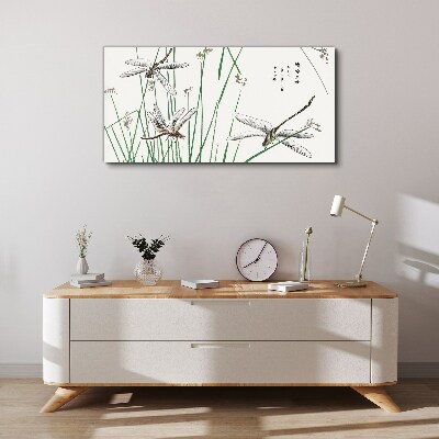 Tableau sur toile Libellules élancées dans un environnement verdoyant