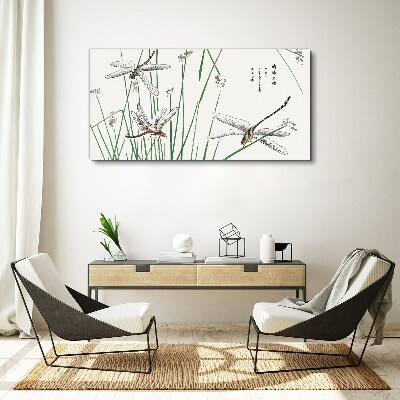 Tableau sur toile Libellules élancées dans un environnement verdoyant
