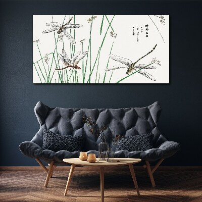 Tableau sur toile Libellules élancées dans un environnement verdoyant