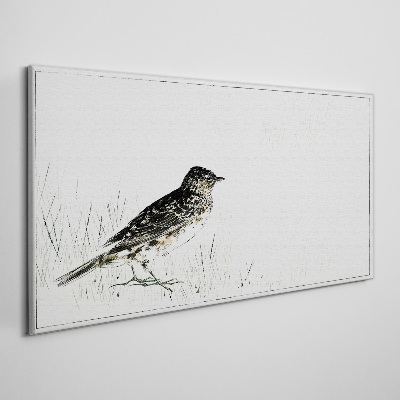 Tableau sur toile Un oiseau sur l'herbe