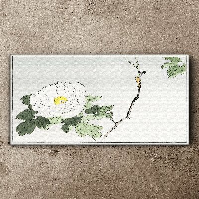 Tableau sur toile Harmonie florale