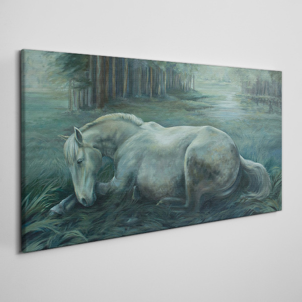 Tableau sur toile « Un cheval calme dans un paysage forestier »