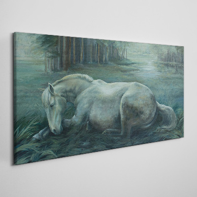 Tableau sur toile « Un cheval calme dans un paysage forestier »