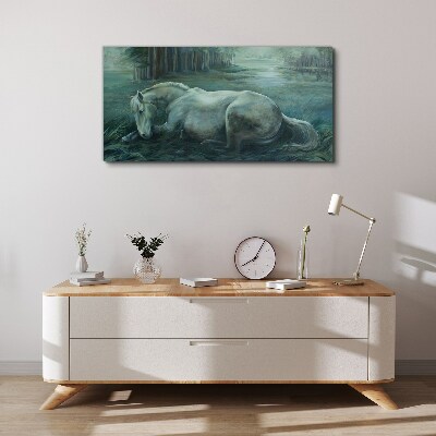 Tableau sur toile « Un cheval calme dans un paysage forestier »