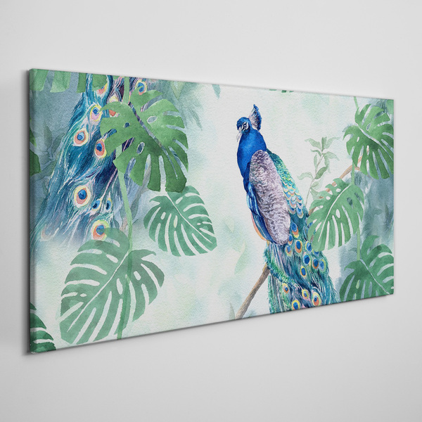 Tableau imprimé sur toile Paon dans la jungle tropicale