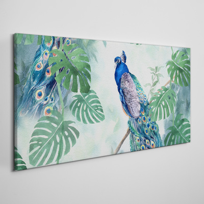 Tableau imprimé sur toile Paon dans la jungle tropicale