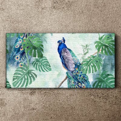 Tableau imprimé sur toile Paon dans la jungle tropicale