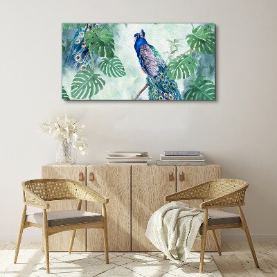 Tableau imprimé sur toile Paon dans la jungle tropicale
