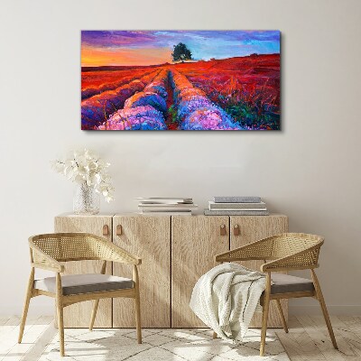 Tableau imprimé sur toile Paysage de champs de lavande au coucher du soleil