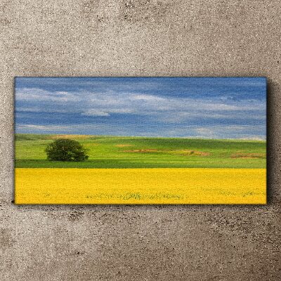 Tableau toile imprimée Champs jaunes sous un ciel bleu