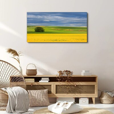Tableau toile imprimée Champs jaunes sous un ciel bleu
