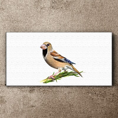 Tableau sur toile Un oiseau sur une brindille
