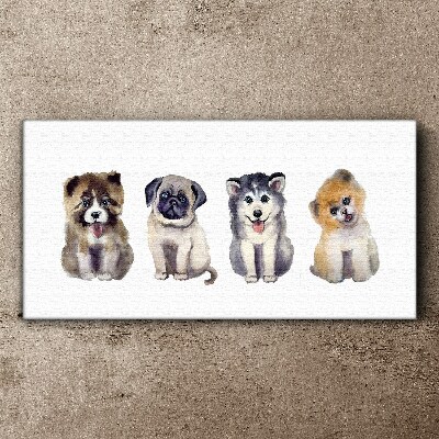 Tableau sur toile Quatre adorables chiots