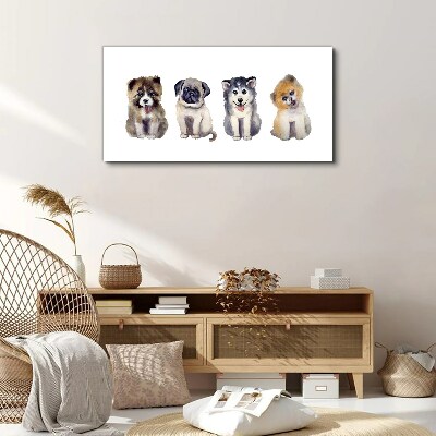 Tableau sur toile Quatre adorables chiots