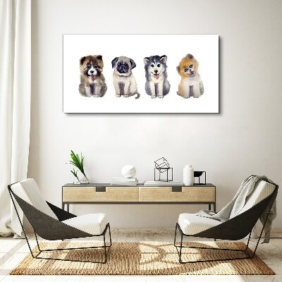 Tableau sur toile Quatre adorables chiots