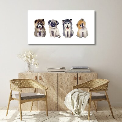 Tableau sur toile Quatre adorables chiots