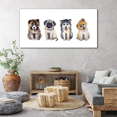 Tableau sur toile Quatre adorables chiots