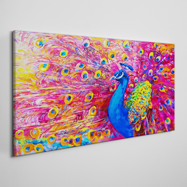 Tableau sur toile Un paon coloré dans la lueur printanière