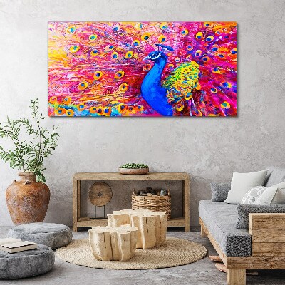 Tableau sur toile Un paon coloré dans la lueur printanière