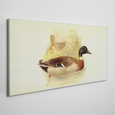 Tableau imprimé sur toile Canards dans l'herbe